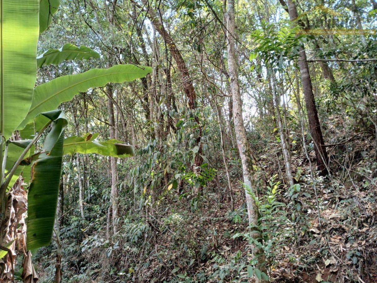 WhatsApp Image 2025-01-14 at 14.51.17 (2).jpeg